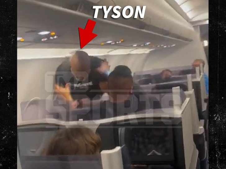 Mike Tyson Plane